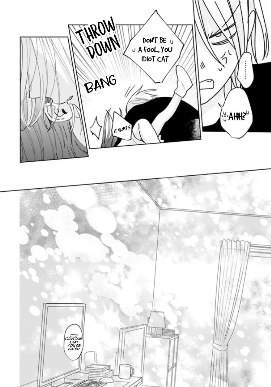 Read Stray Cat and Wolf chapter 17 image 39 on Lezhin