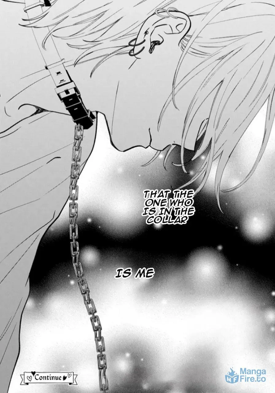 Read Stray Cat and Wolf chapter 17 image 41 on Lezhin