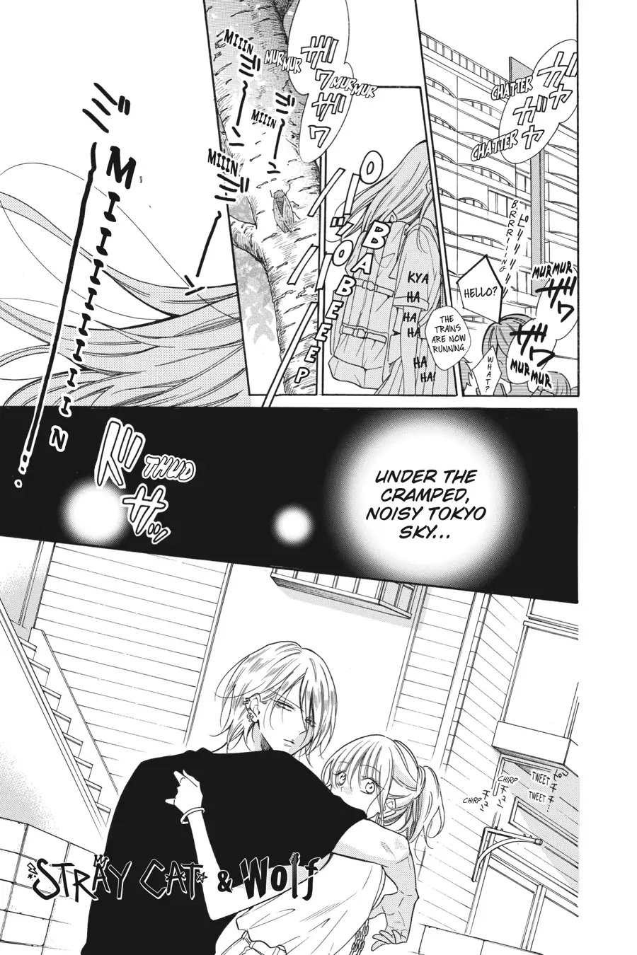 Read Stray Cat & Wolf chapter 1 image 3 on Lezhin