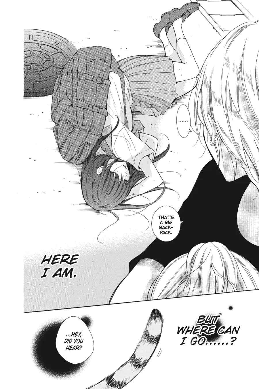 Read Stray Cat & Wolf chapter 1 image 5 on Lezhin