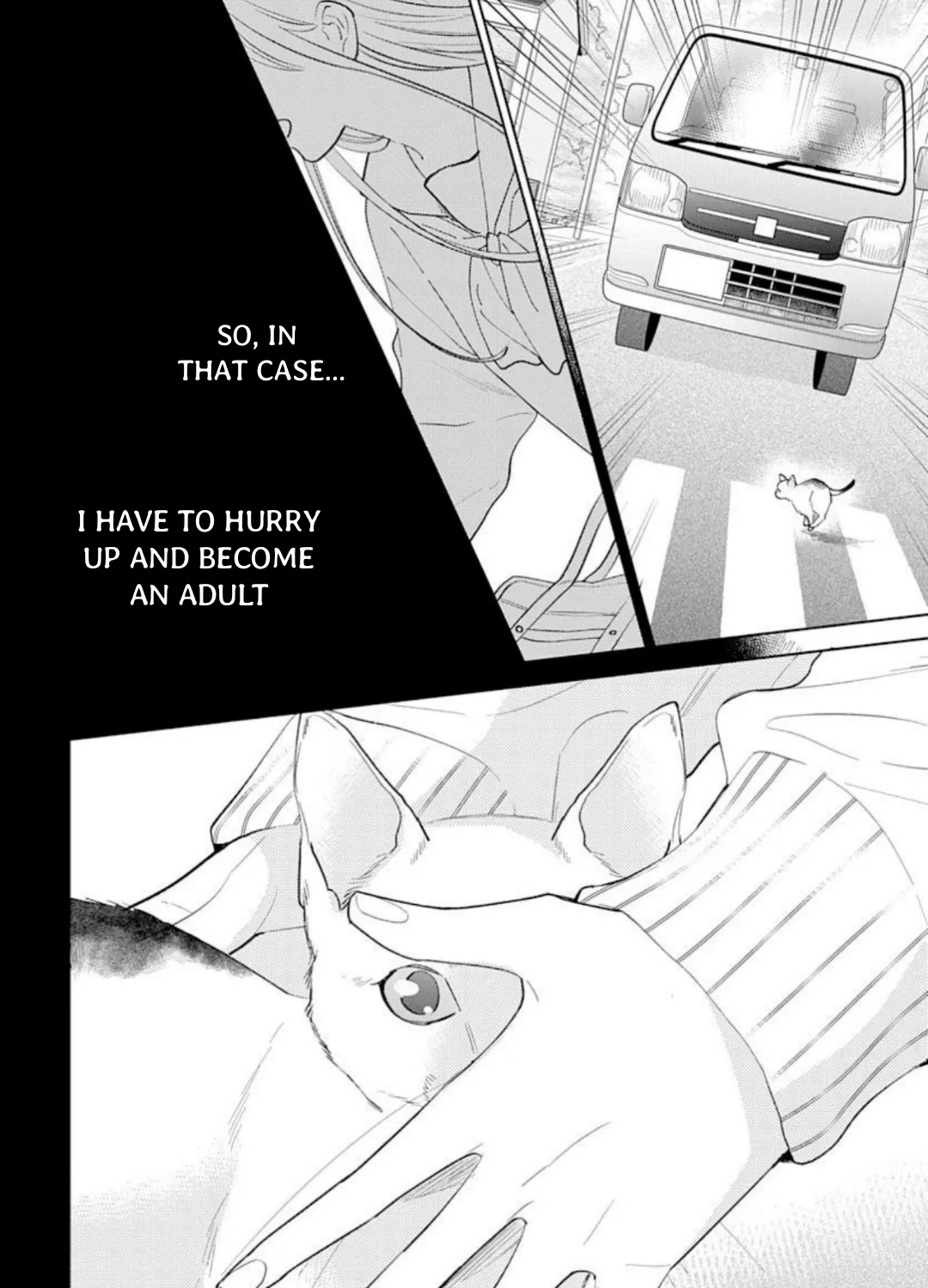 Read Stray Cat & Wolf chapter 12 image 36 on Lezhin