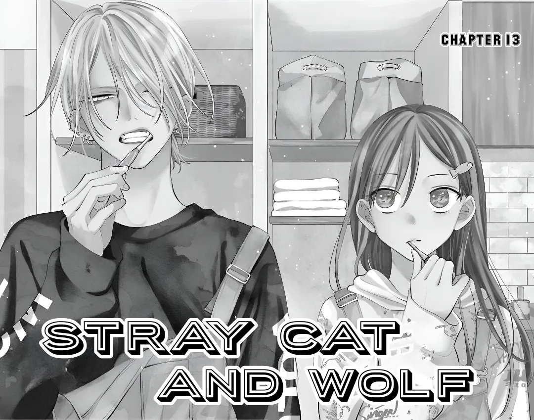 Read Stray Cat & Wolf chapter 13 image 8 on Lezhin