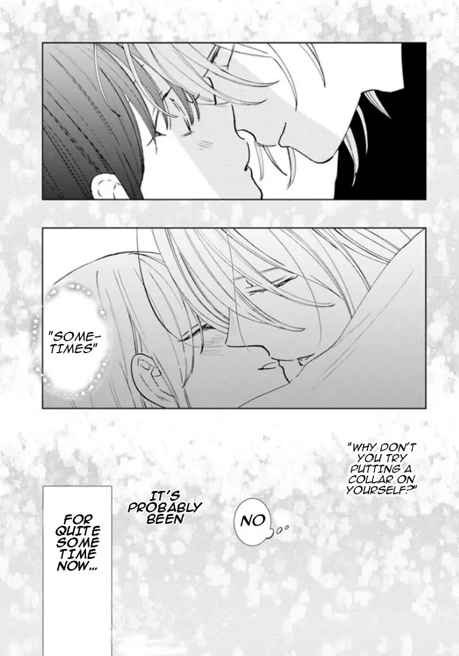 Read Stray Cat & Wolf chapter 17 image 40 on Lezhin