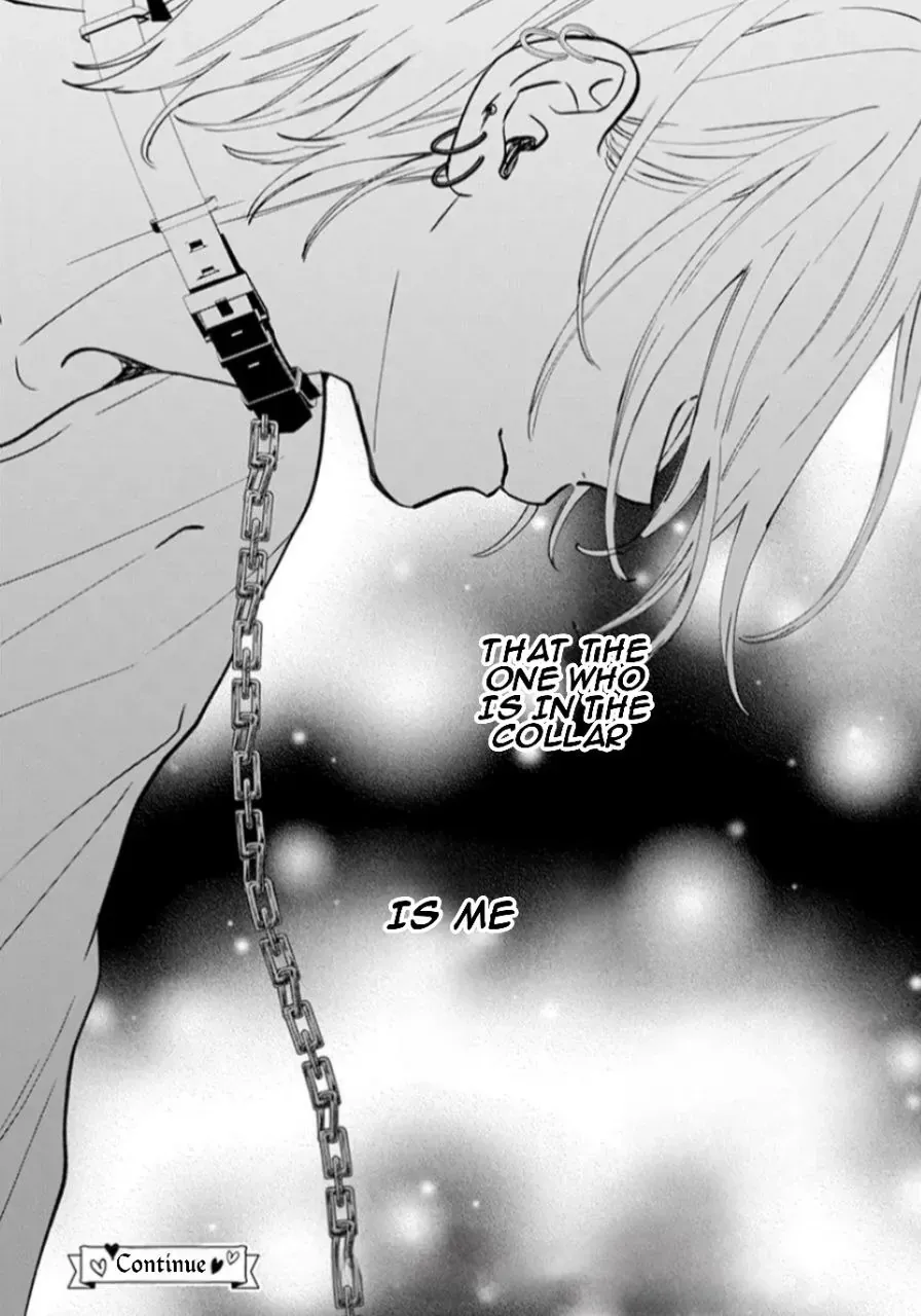 Read Stray Cat & Wolf chapter 17 image 41 on Lezhin