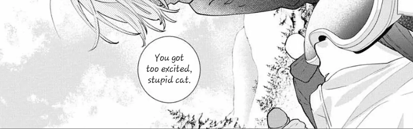 Read Stray Cat & Wolf chapter 19 image 30 on Lezhin