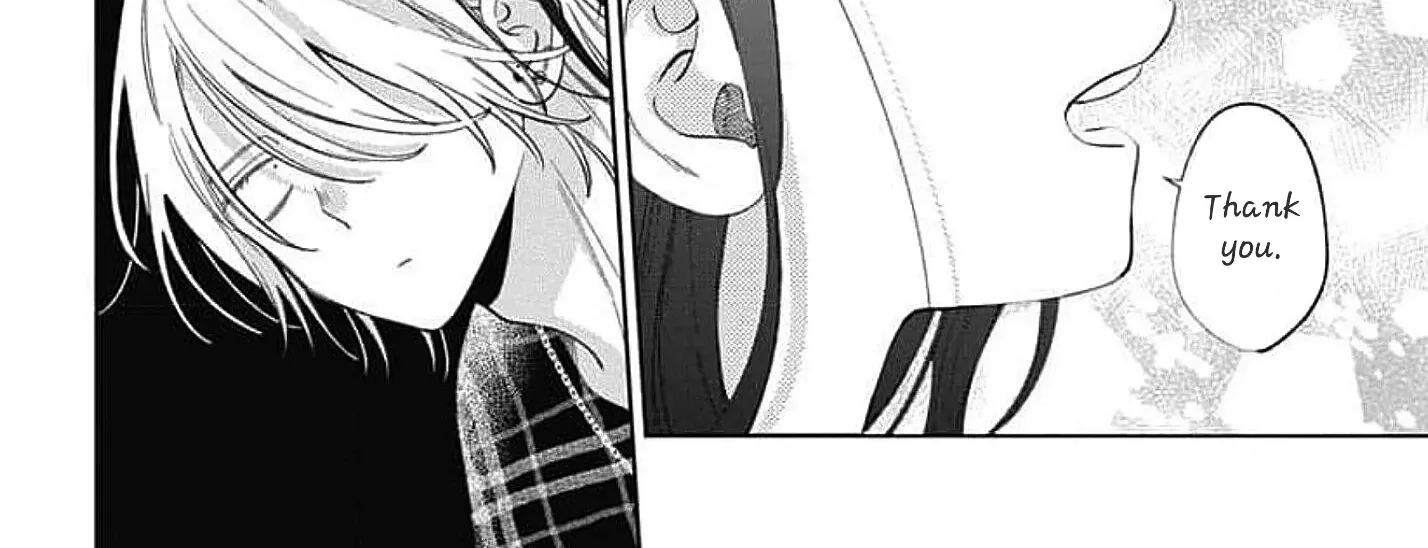 Read Stray Cat & Wolf chapter 21 image 30 on Lezhin