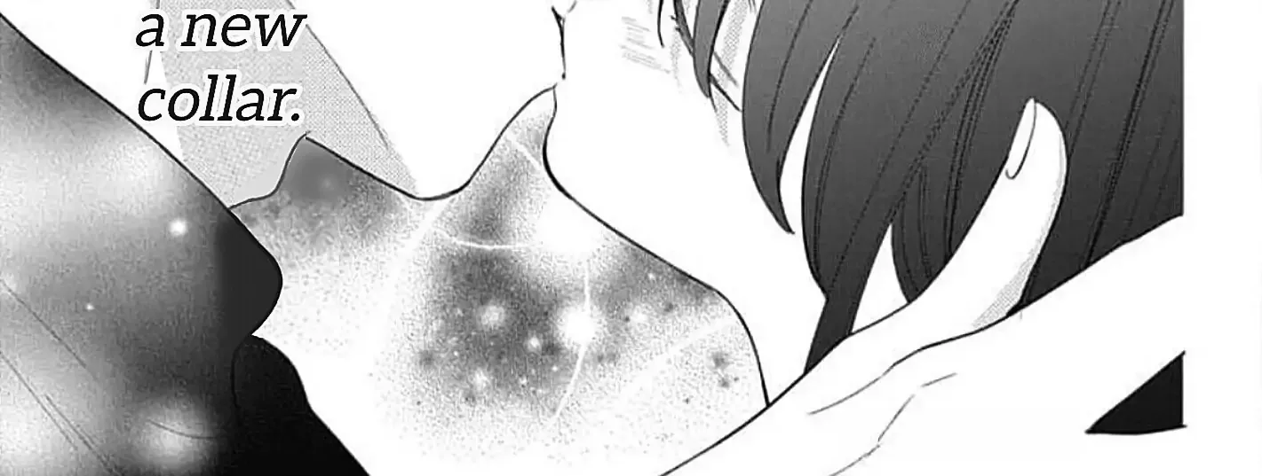 Read Stray Cat & Wolf chapter 21 image 80 on Lezhin