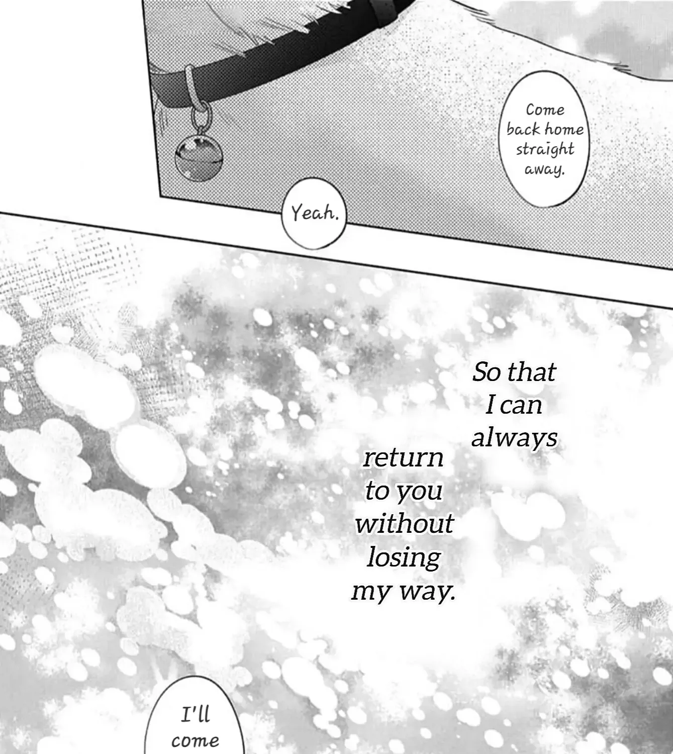 Read Stray Cat & Wolf chapter 21 image 81 on Lezhin