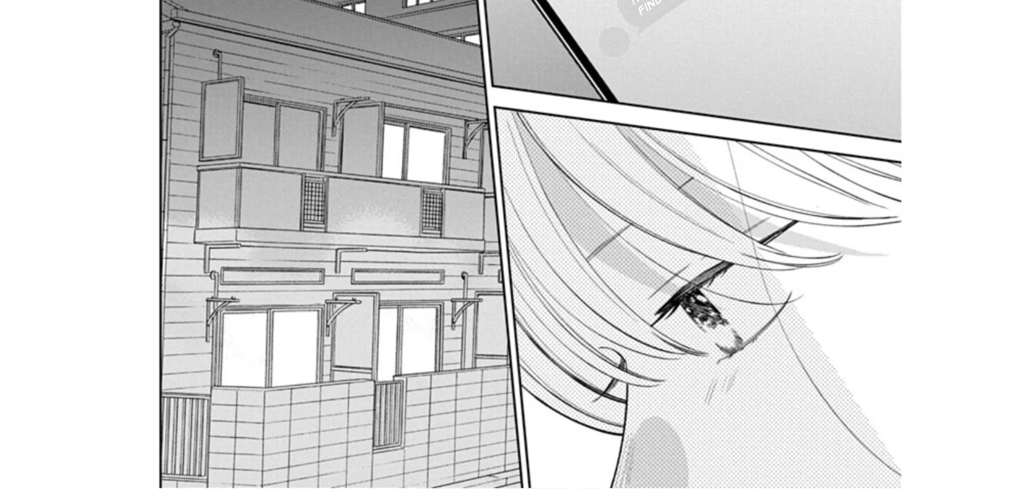 Read Stray Cat & Wolf chapter 22 image 23 on Lezhin