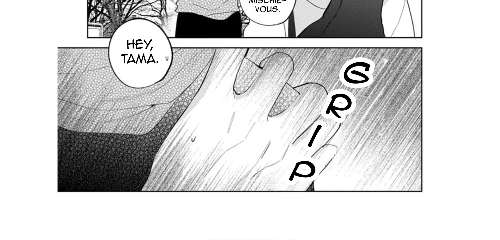 Read Stray Cat & Wolf chapter 22 image 65 on Lezhin