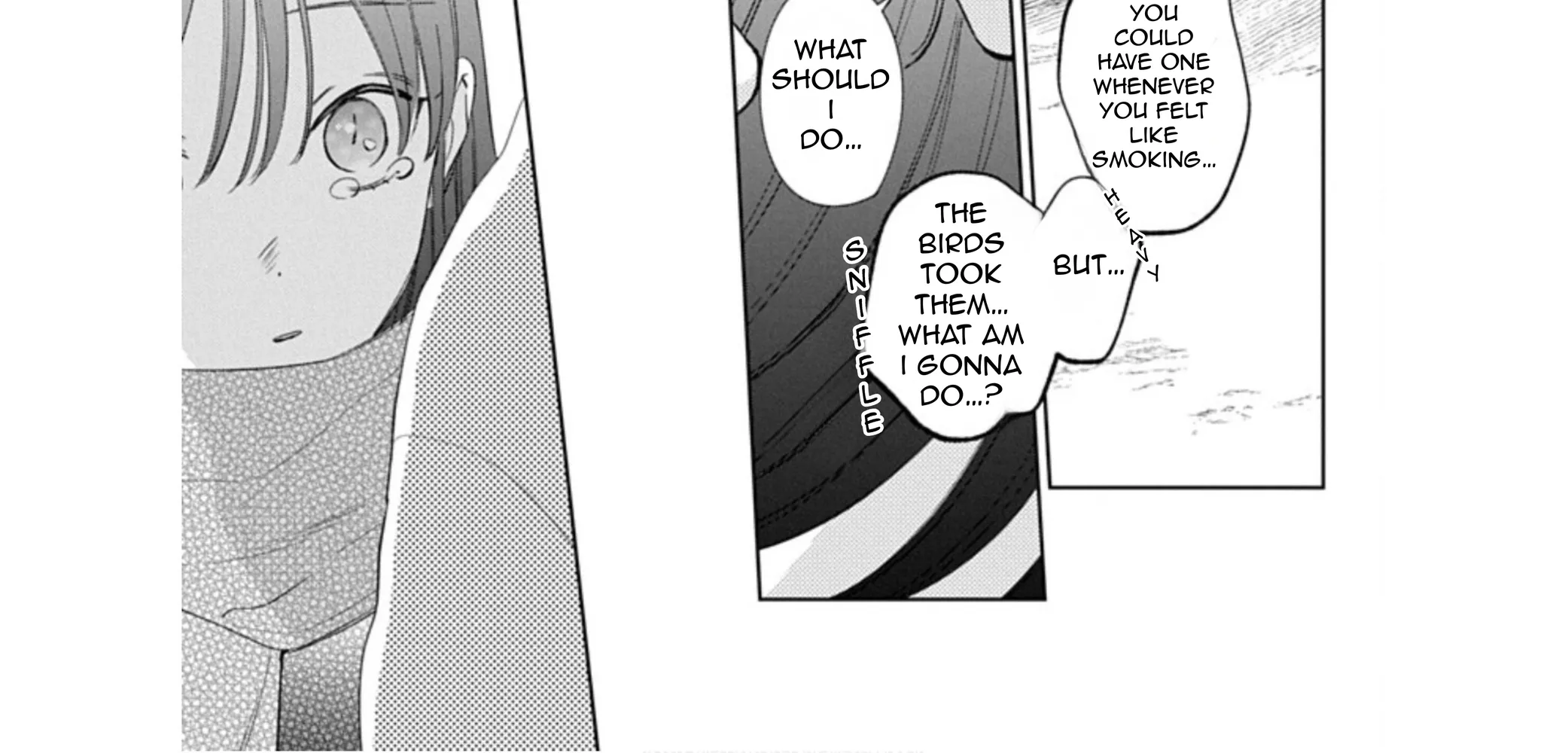 Read Stray Cat & Wolf chapter 22 image 73 on Lezhin
