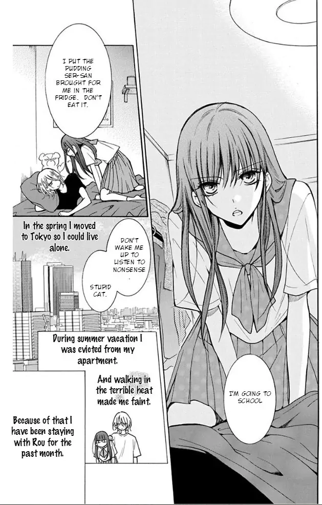 Read Stray Cat & Wolf chapter 3 image 7 on Lezhin