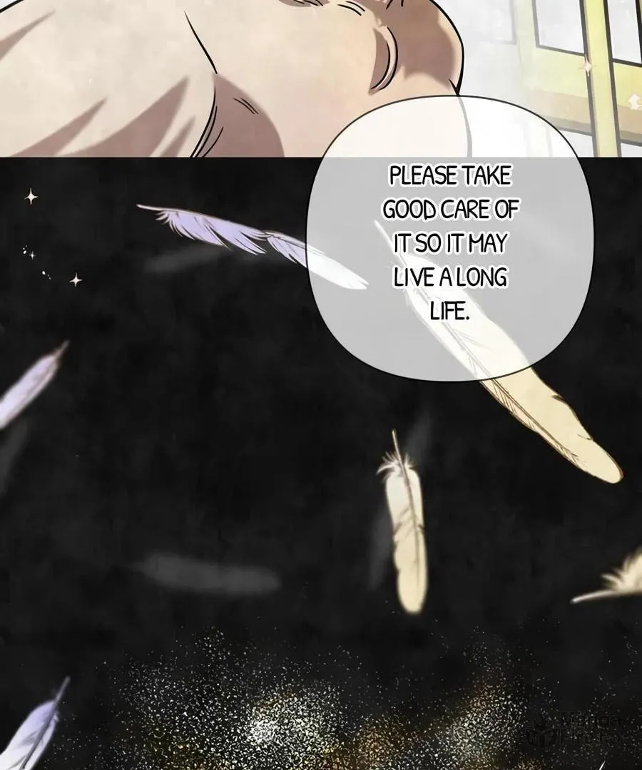 Stuck in My Sister's Dating Sim Chapter 66 page 82 - 