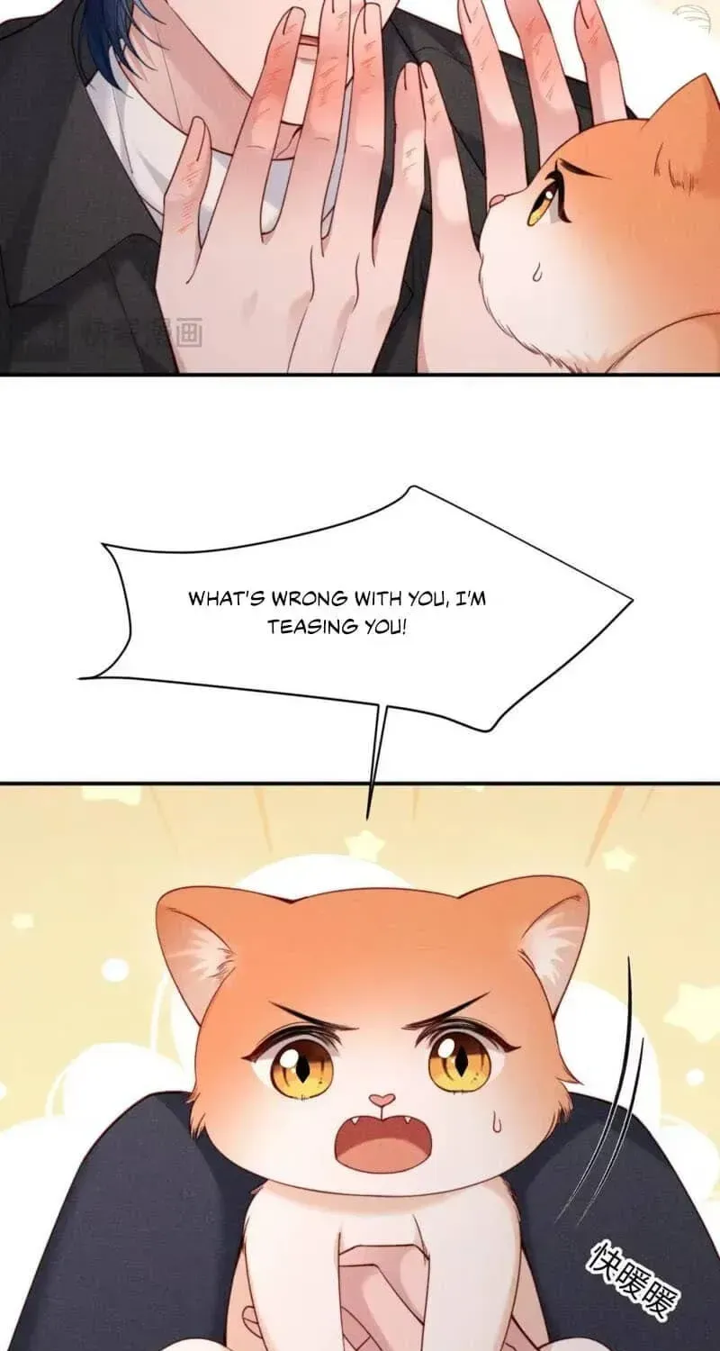 Subordinate Doting Chapter 94 page 13 - 