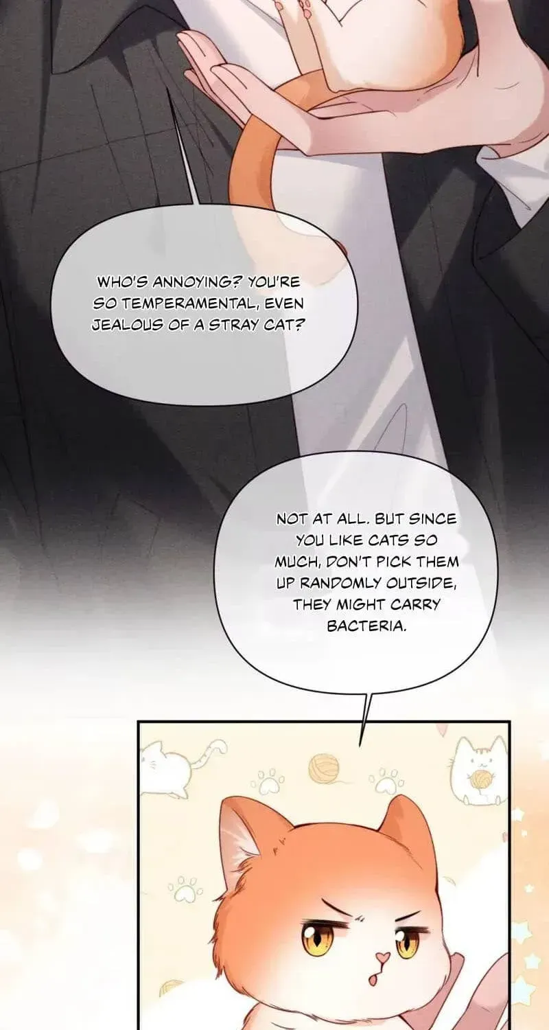 Subordinate Doting Chapter 94 page 19 - 