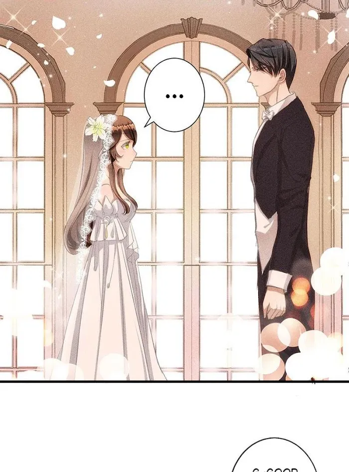 Read Substitute Bride chapter 1 image 11 on Lezhin
