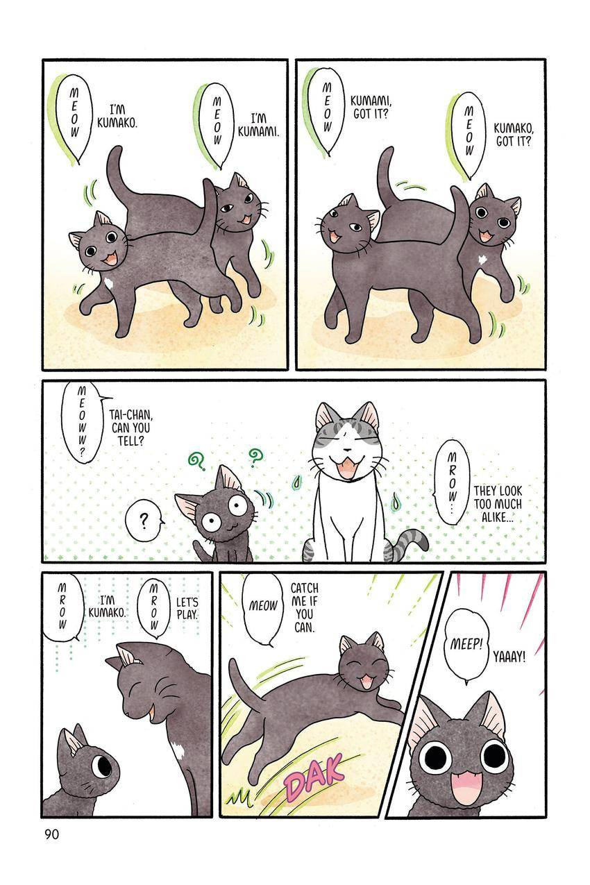 Read Sue & Tai-chan chapter 30 image 1 on Lezhin