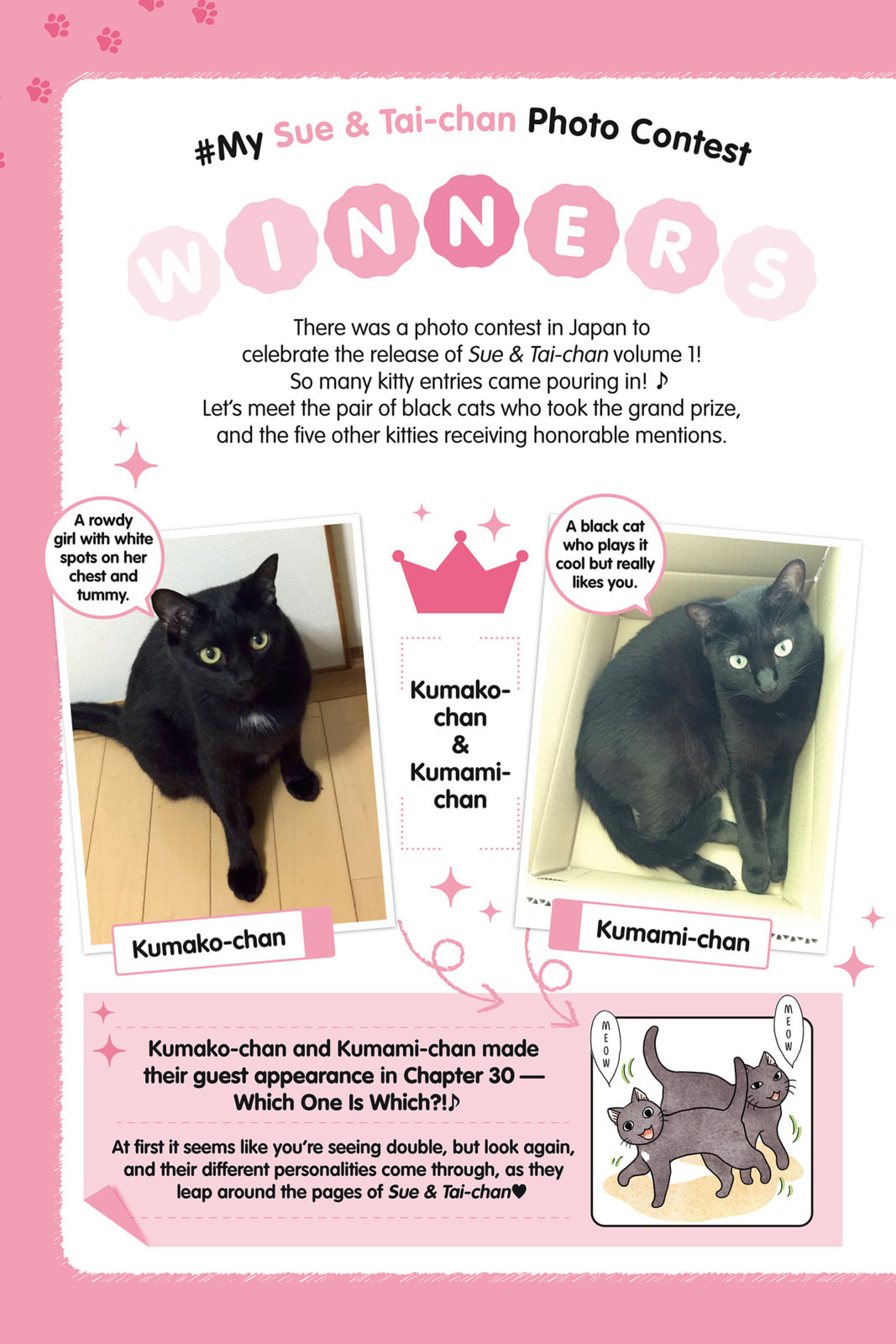 Read Sue & Tai-chan chapter 33 image 15 on Lezhin