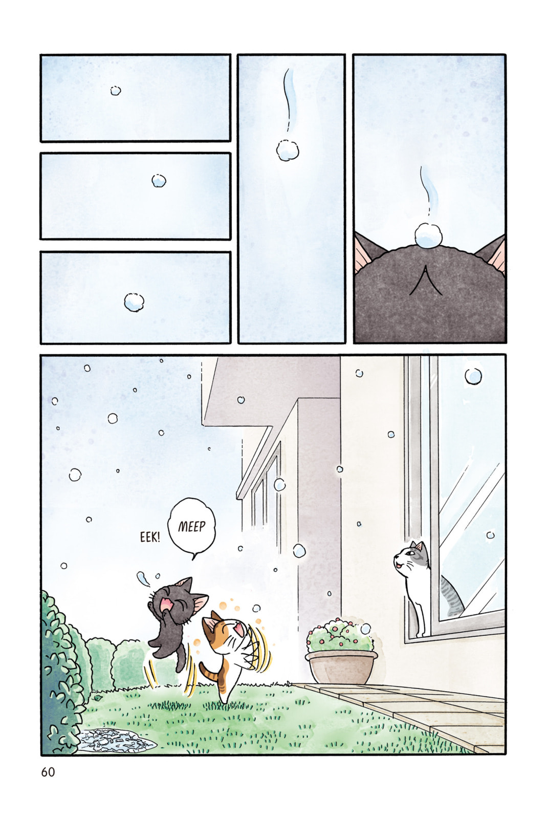 Read Sue & Tai-chan chapter 60 image 5 on Lezhin