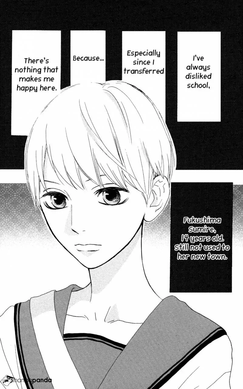 Read Sugars☆ chapter 13 image 1 on Lezhin