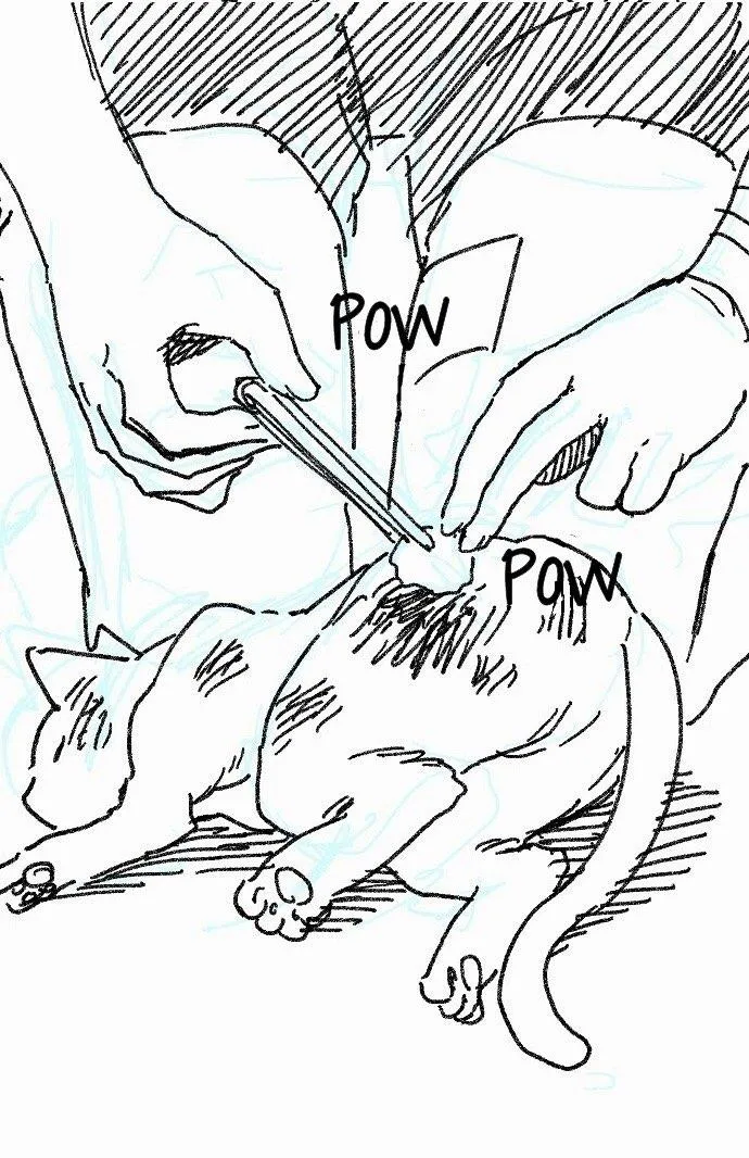 Read Suicide Boy chapter 0.4 image 19 on Lezhin