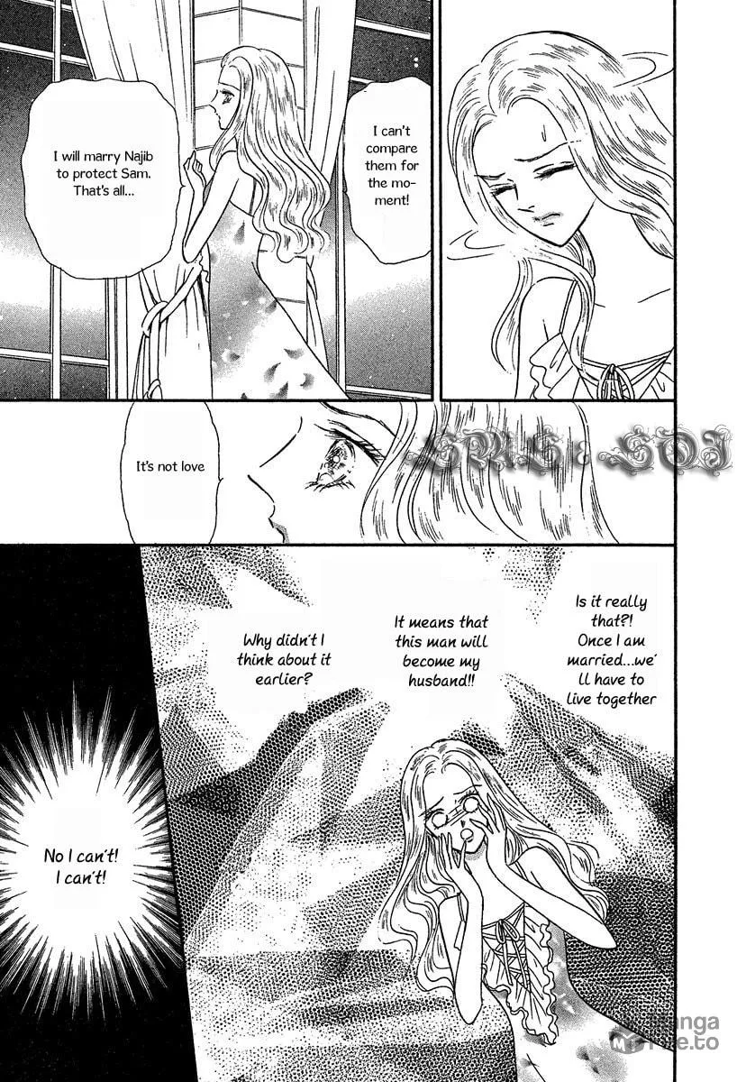 Sultan no Koukeigi Chapter 5 page 3 - 