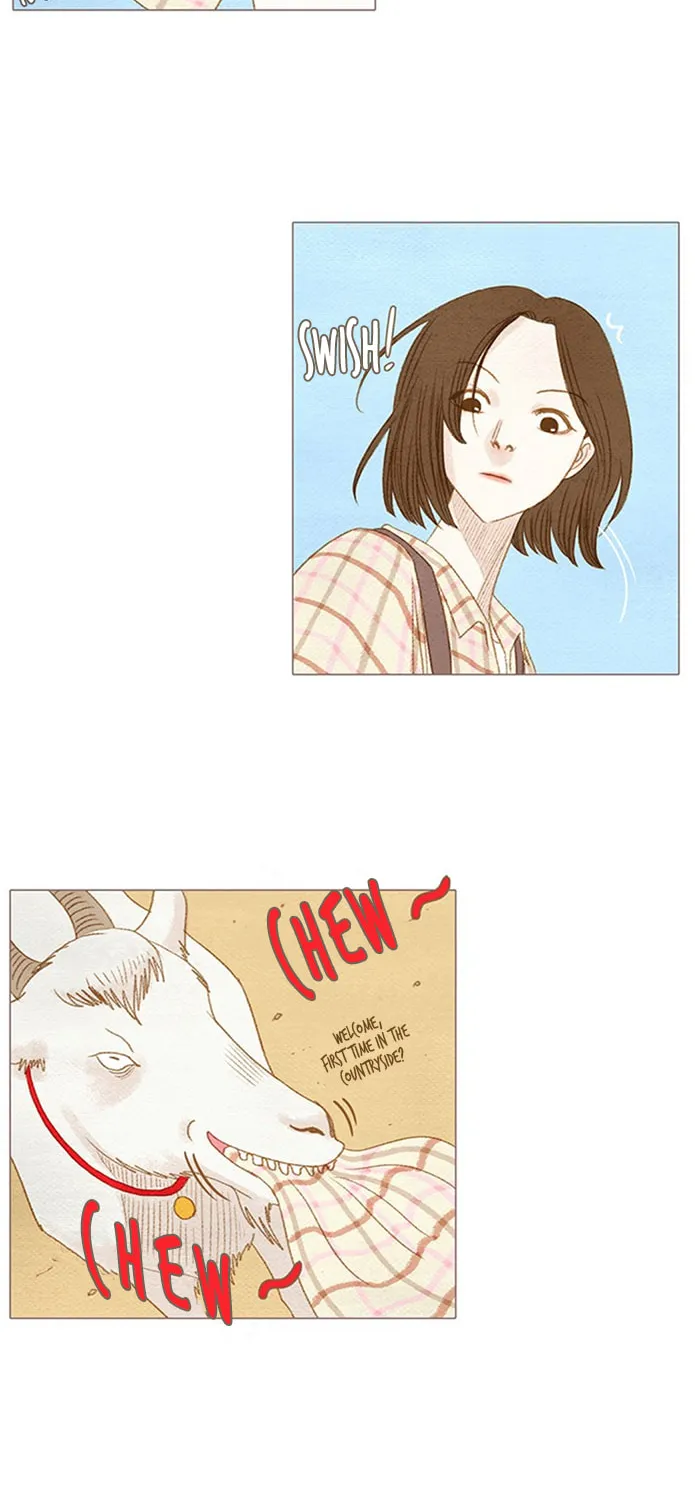 Read Summer Breeze chapter 1 image 29 on Lezhin