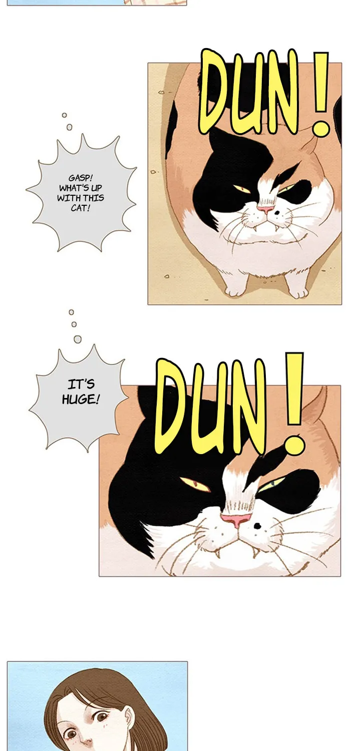 Read Summer Breeze chapter 1 image 39 on Lezhin