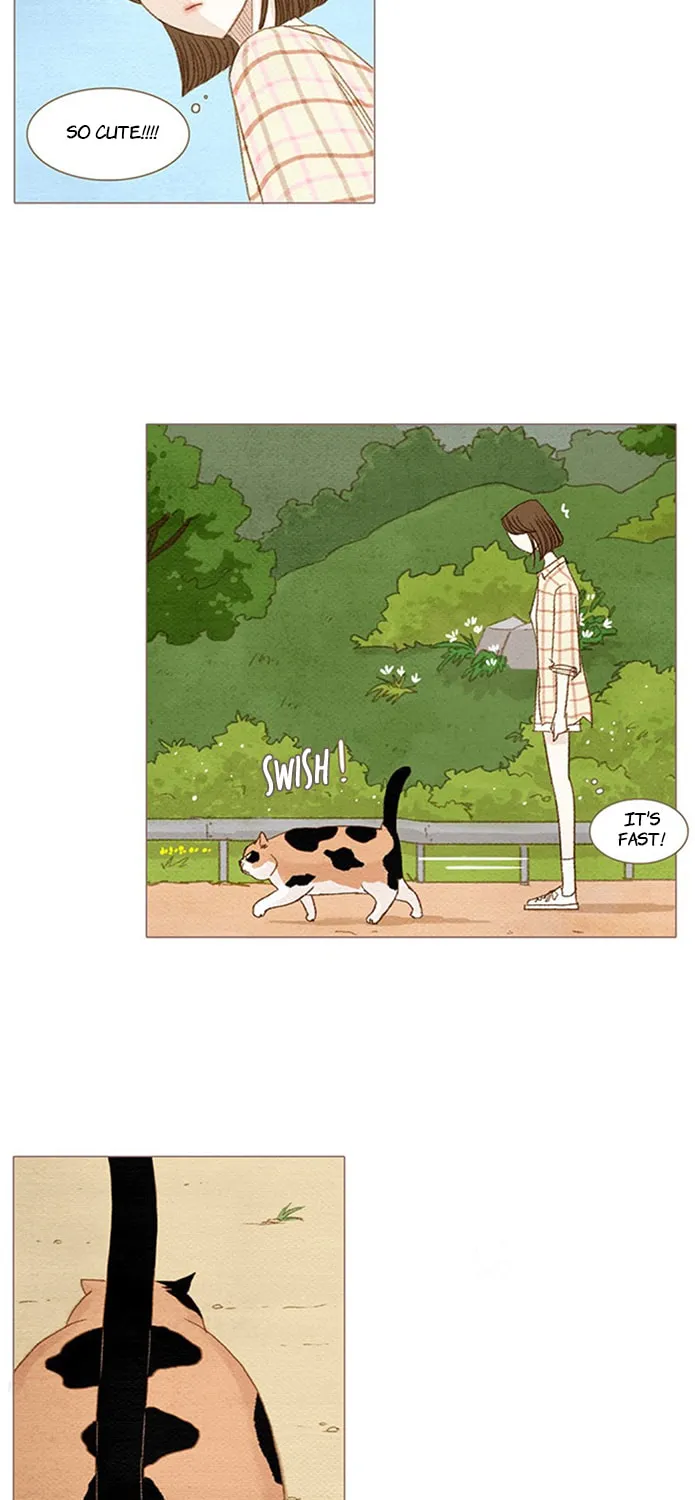 Read Summer Breeze chapter 1 image 40 on Lezhin