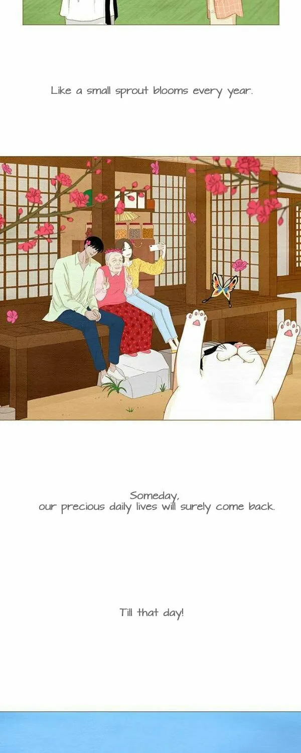 Read Summer Breeze chapter 13 image 20 on Lezhin