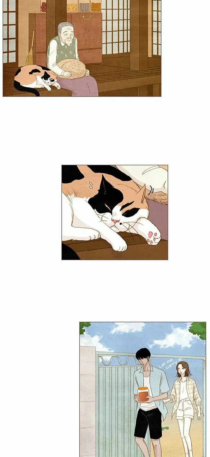 Read Summer Breeze chapter 4 image 15 on Lezhin