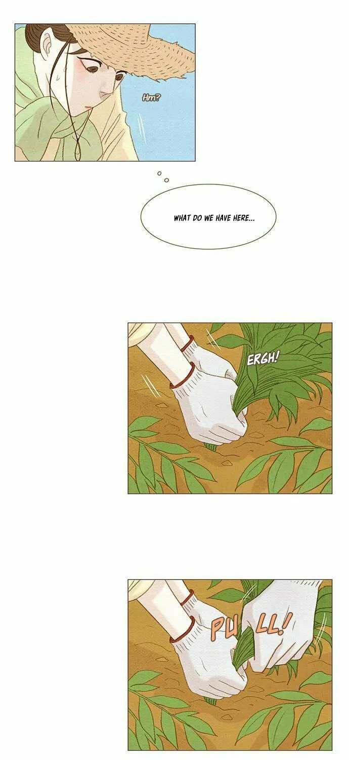 Read Summer Breeze chapter 6 image 12 on Lezhin