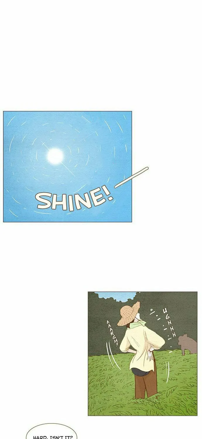 Read Summer Breeze chapter 6 image 16 on Lezhin