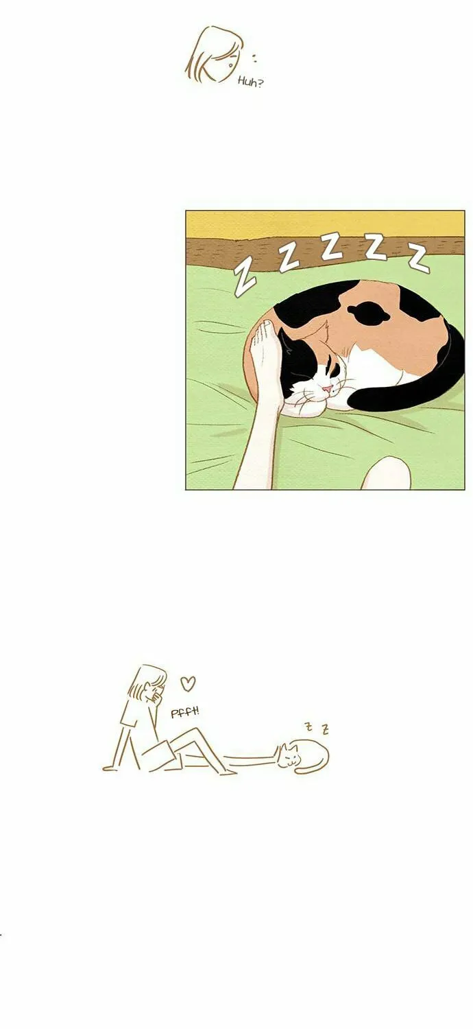 Read Summer Breeze chapter 6 image 7 on Lezhin