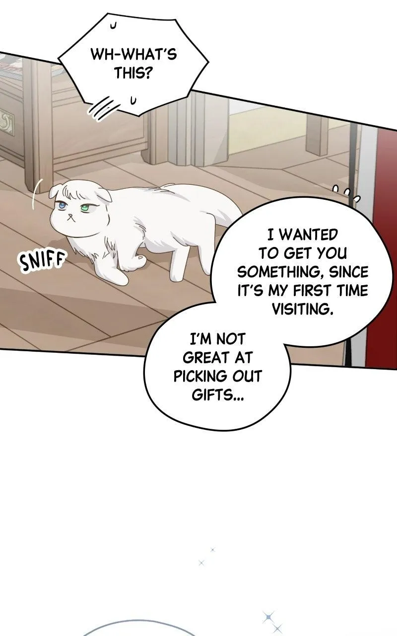 Read Summer Moon: The Cuprids chapter 37 image 101 on Lezhin