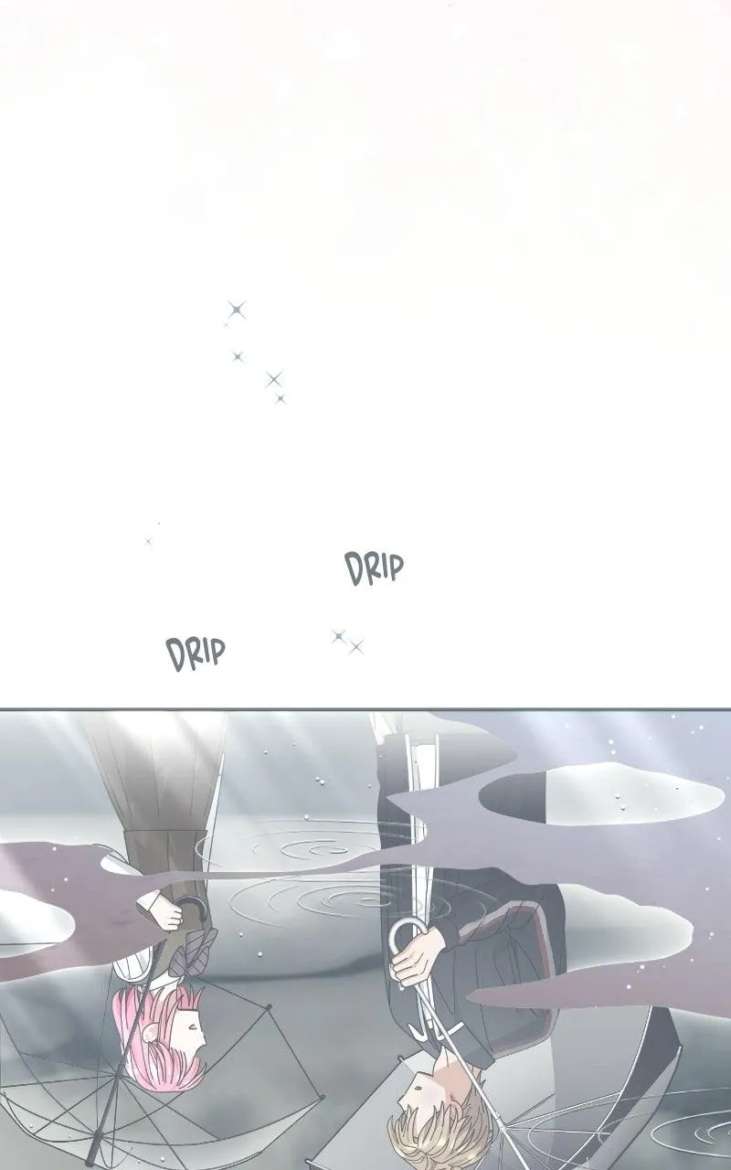 Read Summer Moon: The Cuprids chapter 37 image 3 on Lezhin