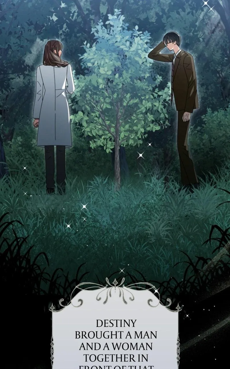 Read Summer Moon: The Cuprids chapter 38 image 28 on Lezhin