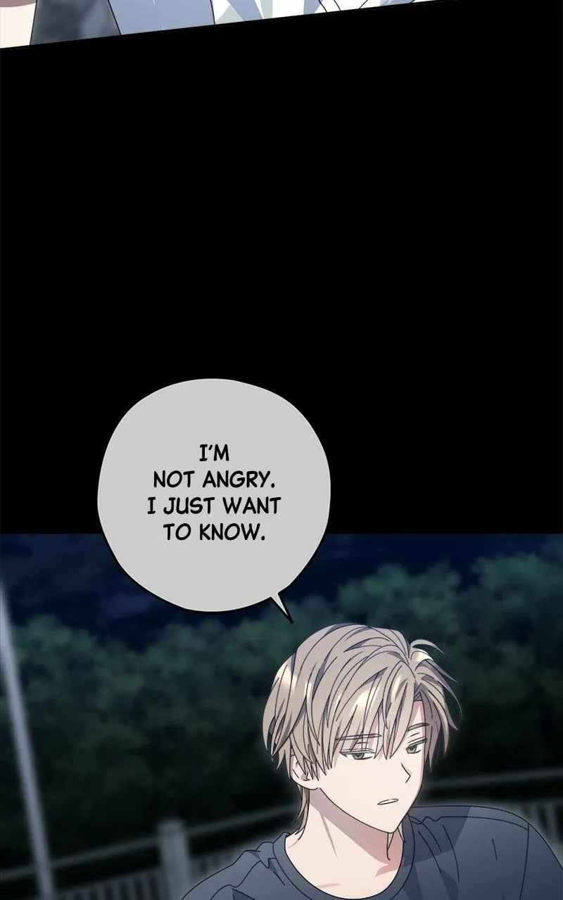 Read Summer Moon: The Cuprids chapter 42 image 17 on Lezhin