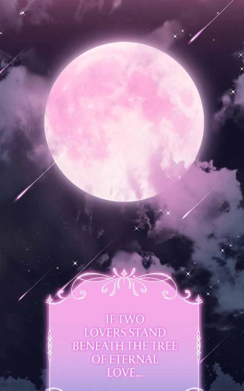 Read SUMMER MOON: THE QUPRIDS chapter 1 image 2 on Lezhin