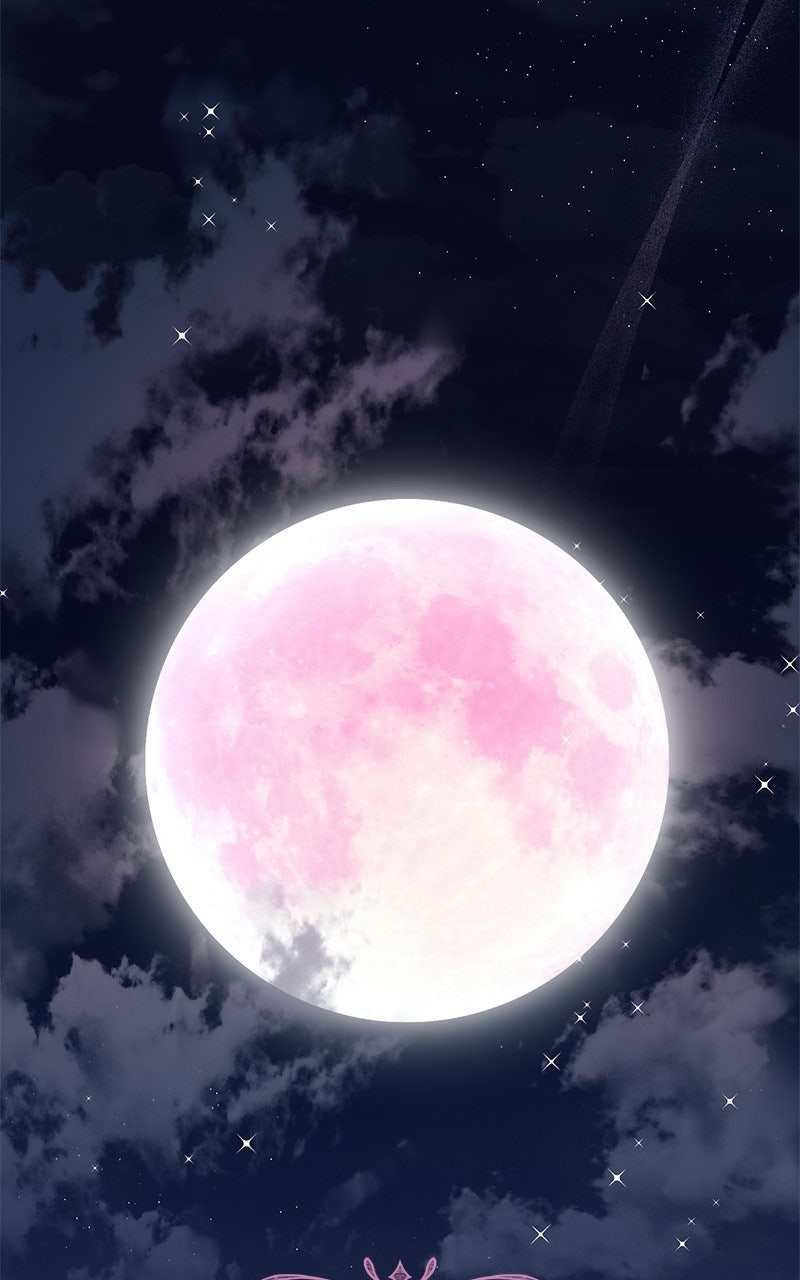 Read SUMMER MOON: THE QUPRIDS chapter 43 image 37 on Lezhin