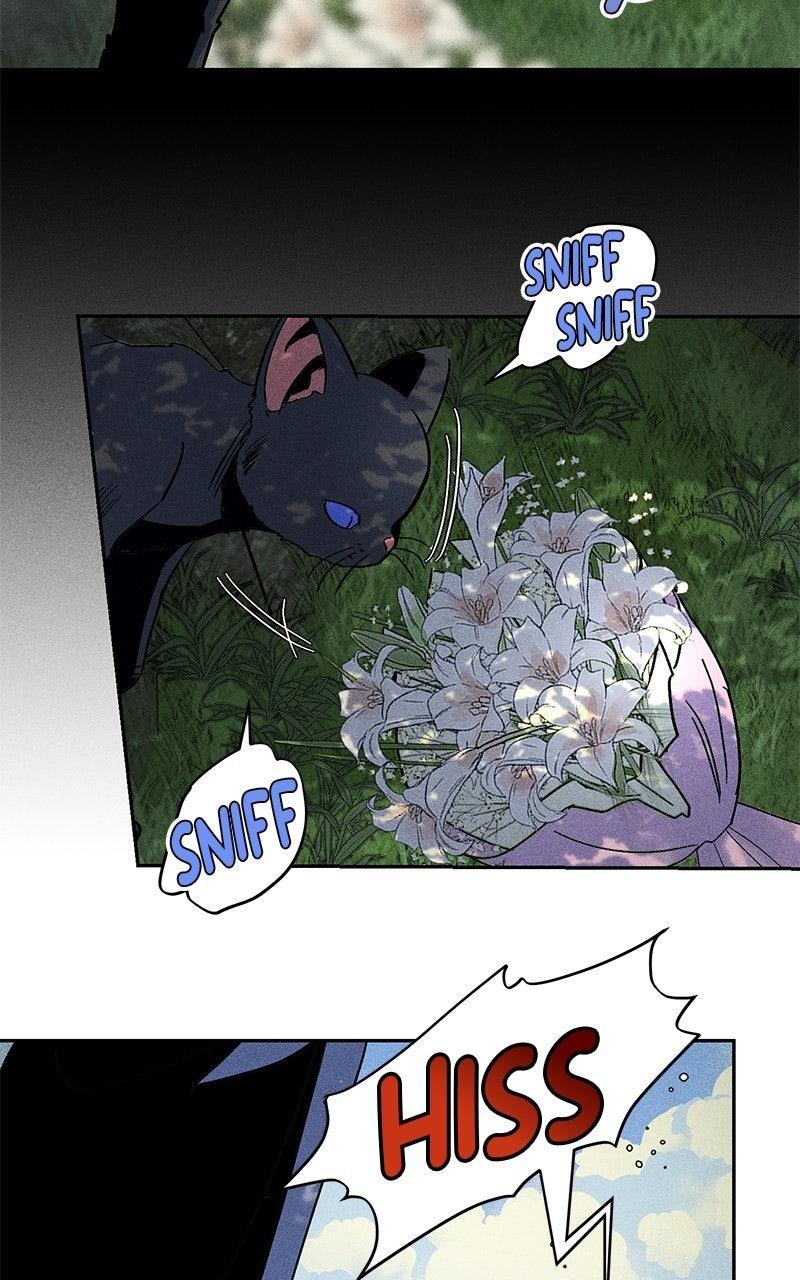 SUMMER MOON: THE QUPRIDS Chapter 50 page 87 - 