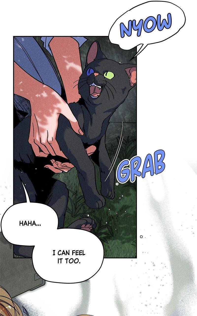 SUMMER MOON: THE QUPRIDS Chapter 50 page 90 - 