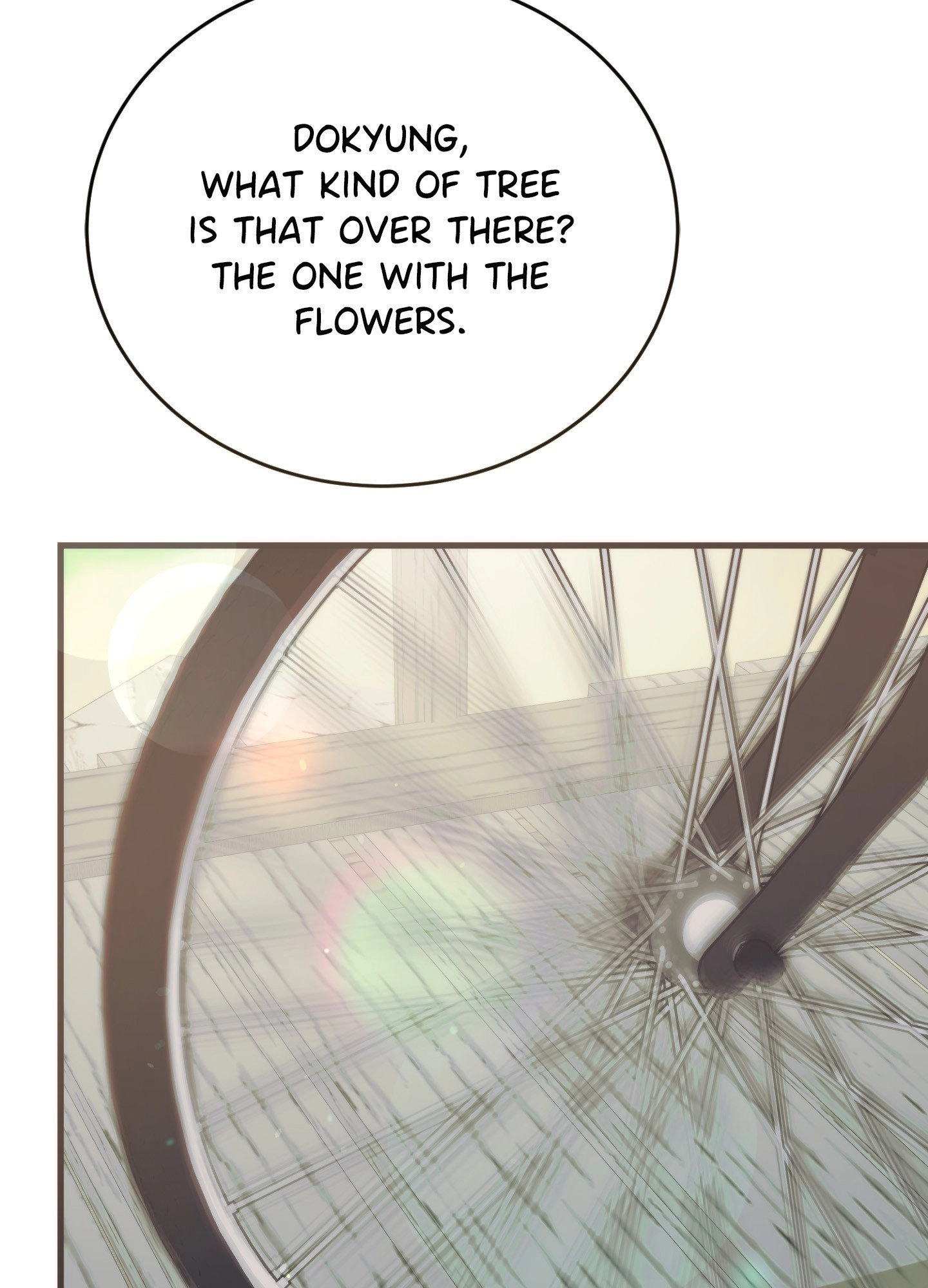 Read Summer