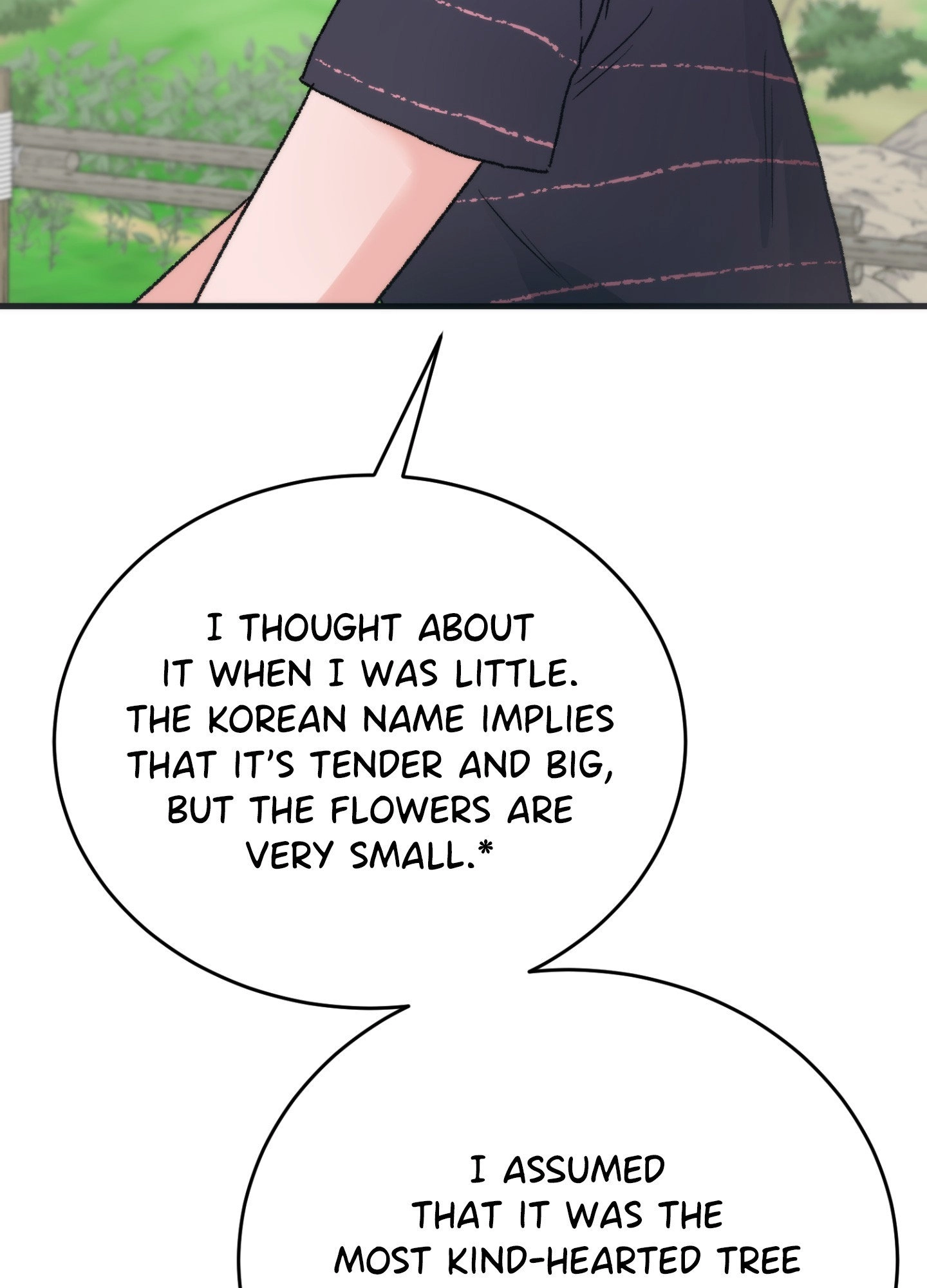 Read Summer