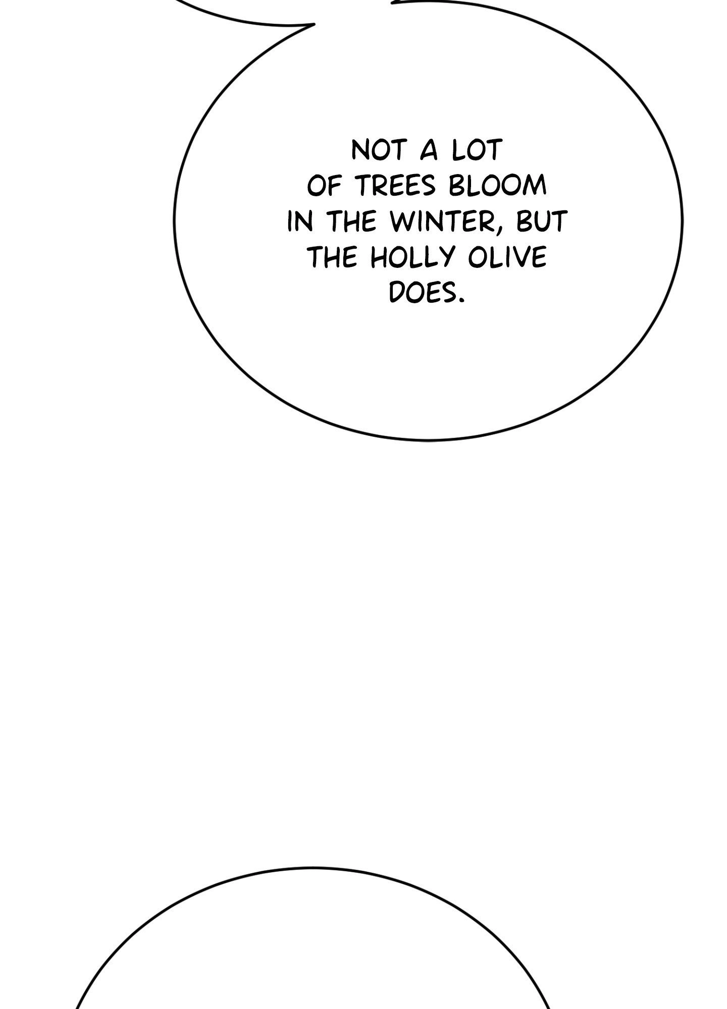 Read Summer