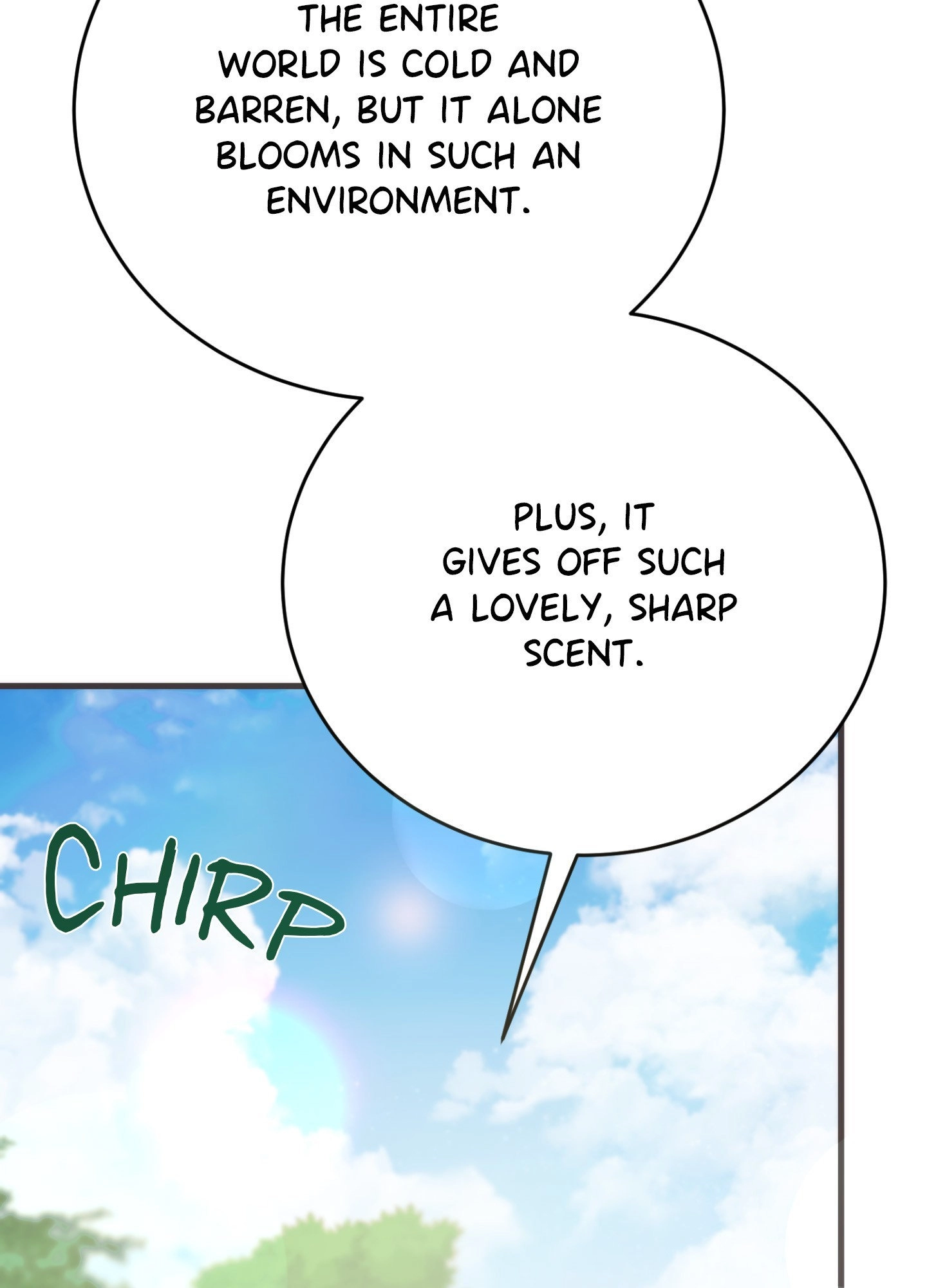 Read Summer