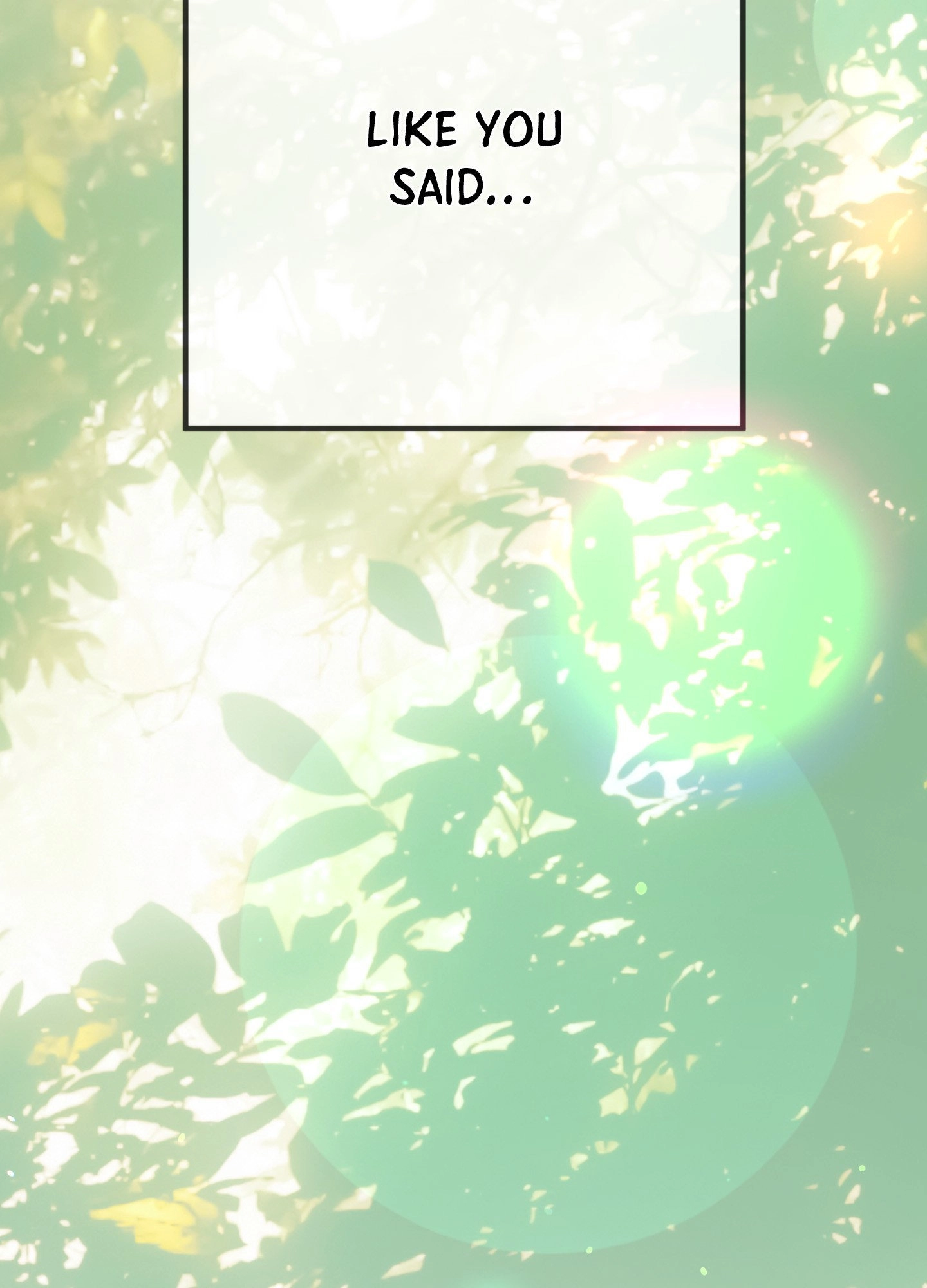 Read Summer