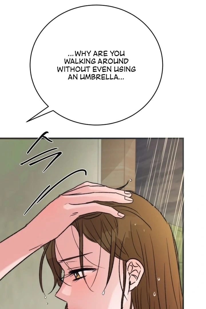 Read Summer