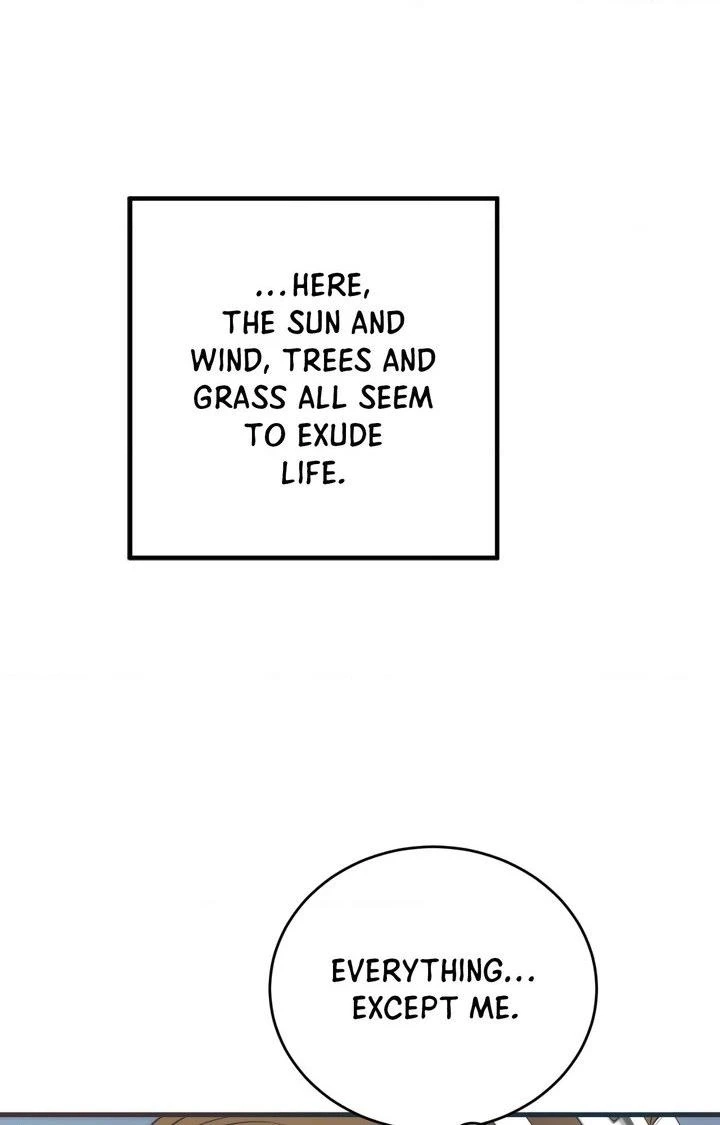 Read Summer