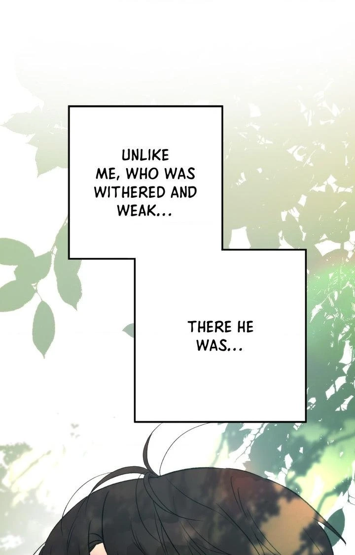 Read Summer